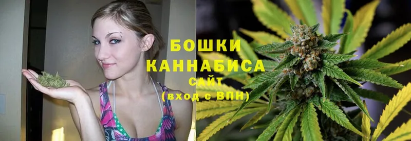 Конопля SATIVA & INDICA  наркота  hydra ONION  Владикавказ 